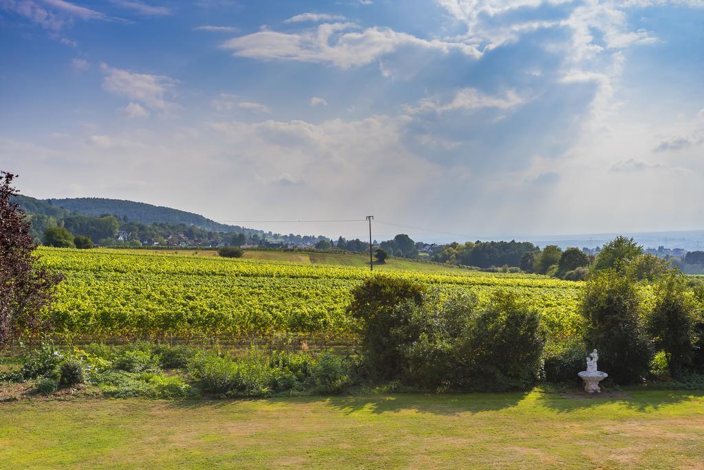 Krone Am Park - Gaestehaus Des Hotel Krone Alzenau Dış mekan fotoğraf